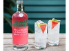 Absolut watermelon