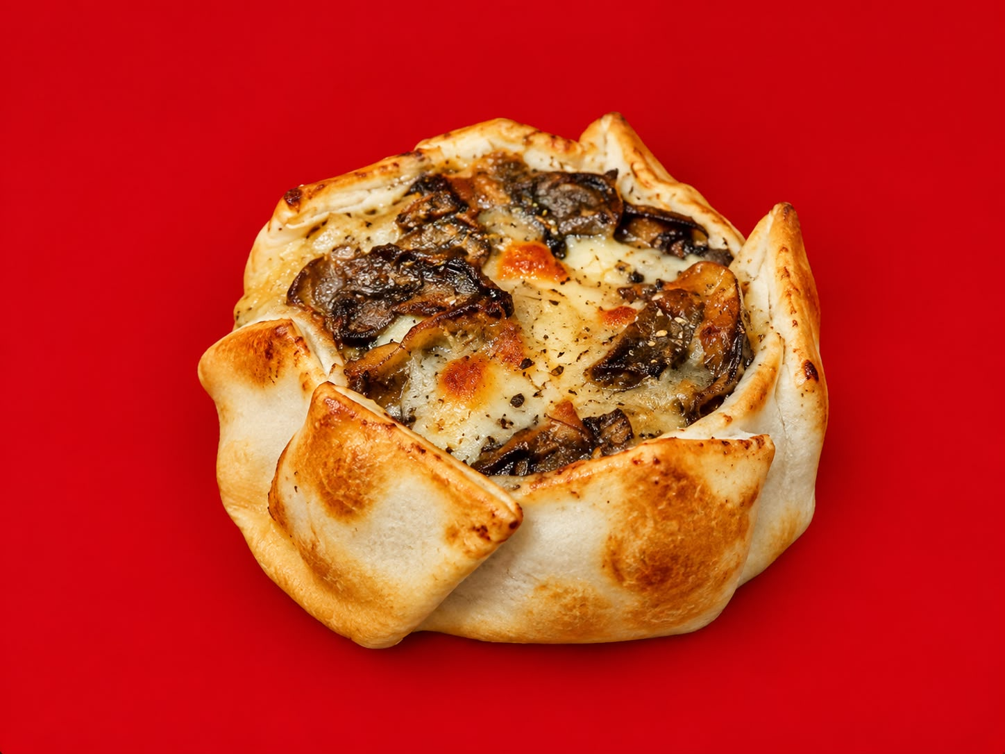 Hongos