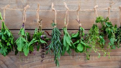 HIERBAS, YERBAS Y TÉS