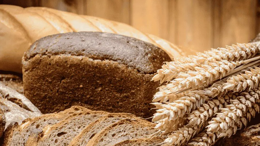 PANES, TOSTADAS, FAJITAS