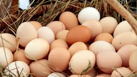 HUEVOS