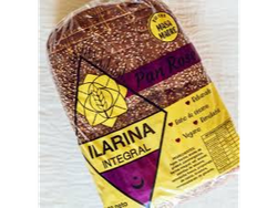 PANETON INTEGRAL MASA MADRE