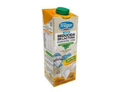 LECHE DESLACTOSADA X 1 LITRO TREGAR