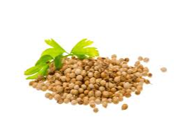 CORIANDRO SEMILLAS X 100 GR