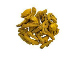 CURCUMA RAIZ X 100 GR