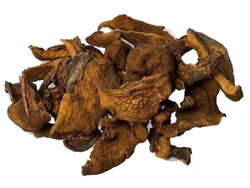 HONGOS DE PINO