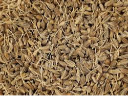 ANIS EN GRANO X 100 GR
