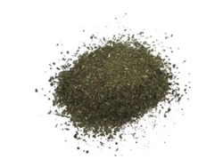 MENTA PEPERINA