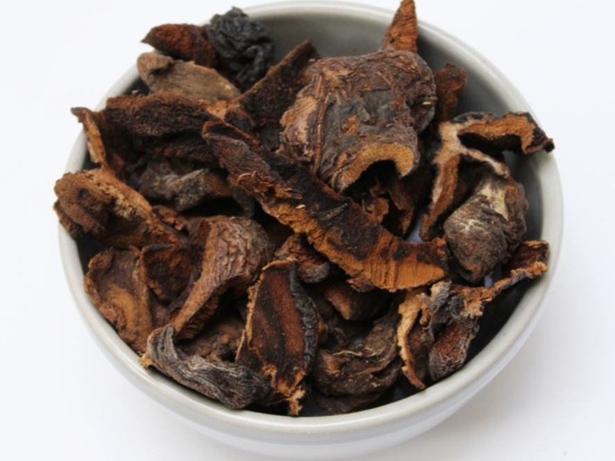 HONGOS DE PINO
