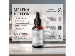 MELENA DE LEON - El hongo de la neurogénesis