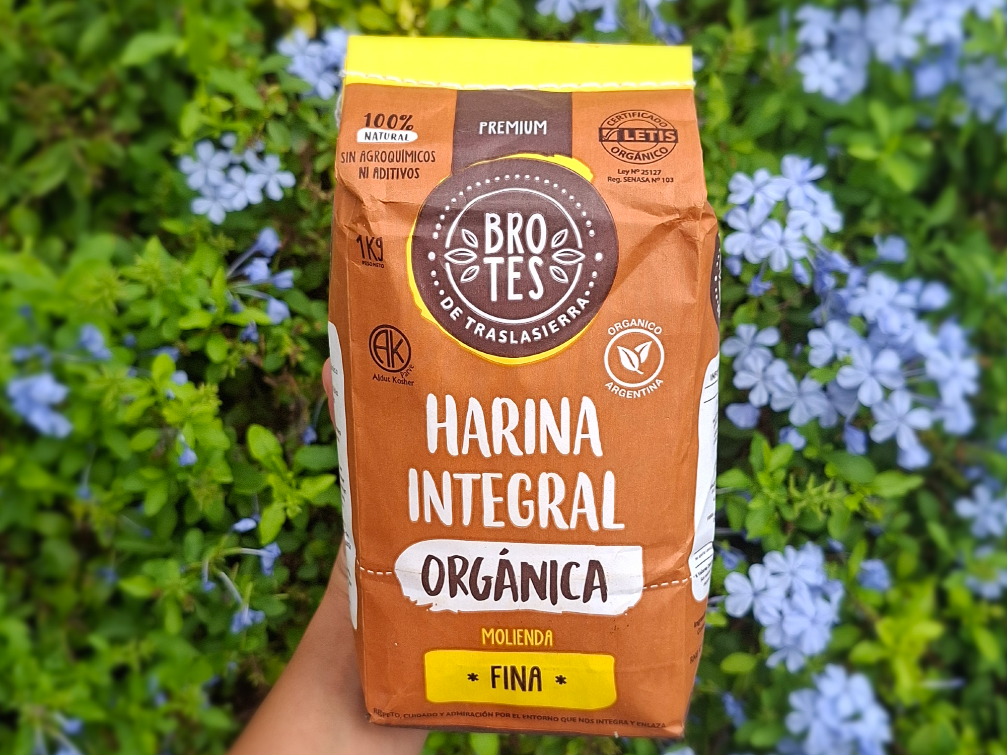 HARINA INTEGRAL ORGANICA BROTES