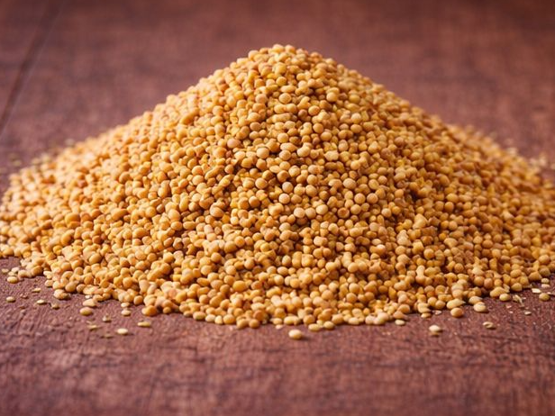Mostaza en grano