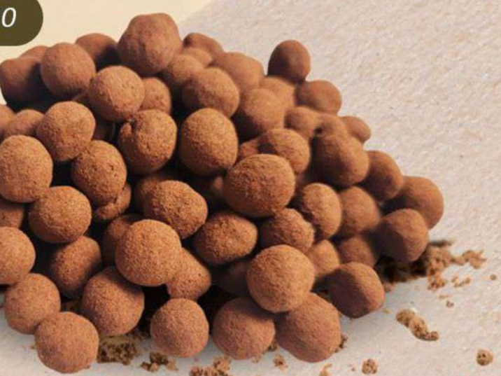 Quinoa con cacao amargo