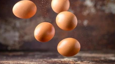 Huevos de gallinas libres