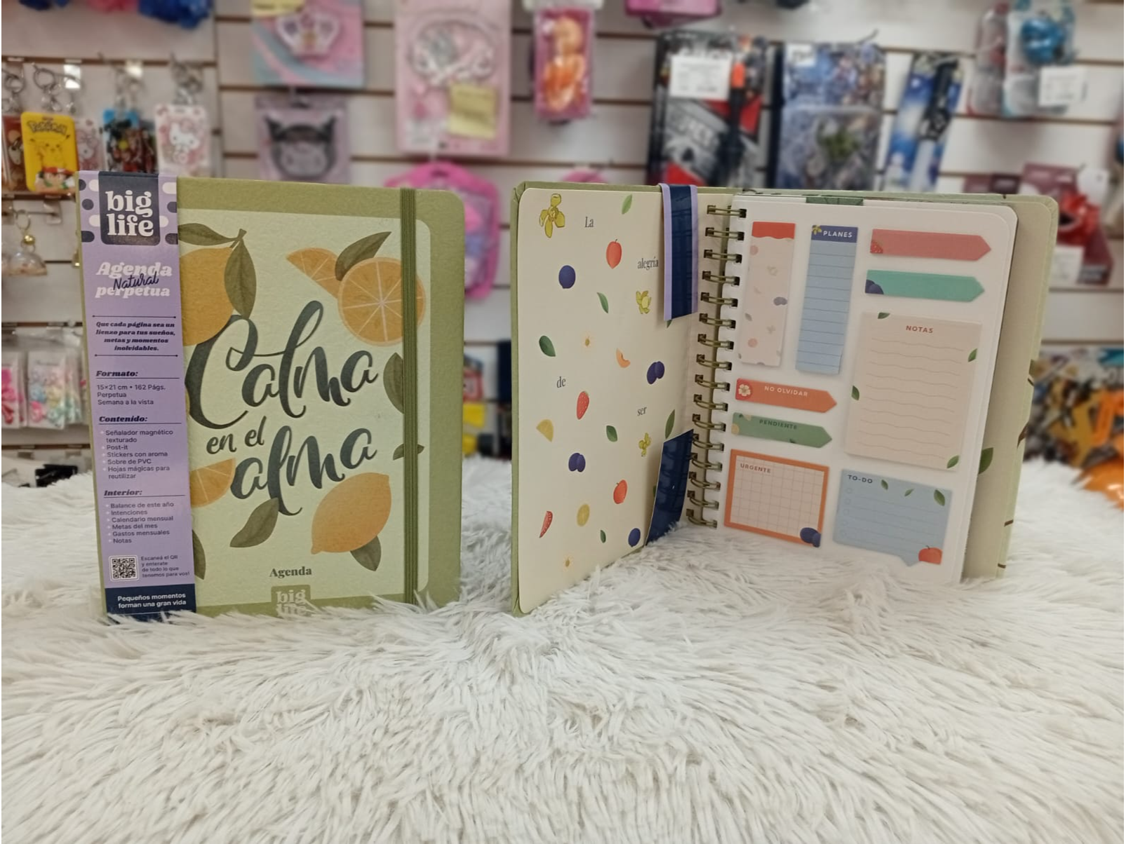 AGENDAS "BIG LIFE" 162 pag. - COD.: 306