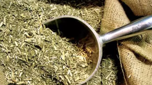 YERBA MATE