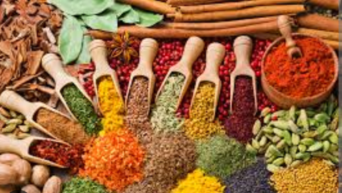 ESPECIAS / CONDIMENTOS