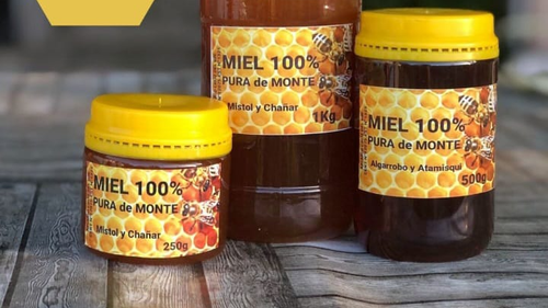 MIEL PURA DE MONTE