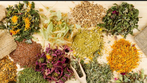 PLANTAS MEDICINALES