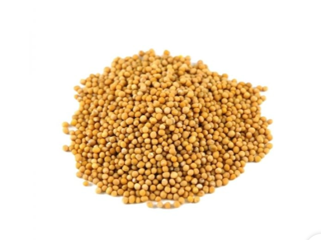 Semilla de mostaza amarilla X 1 KG