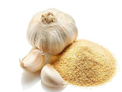 Ajó en Polvo x 500 GR