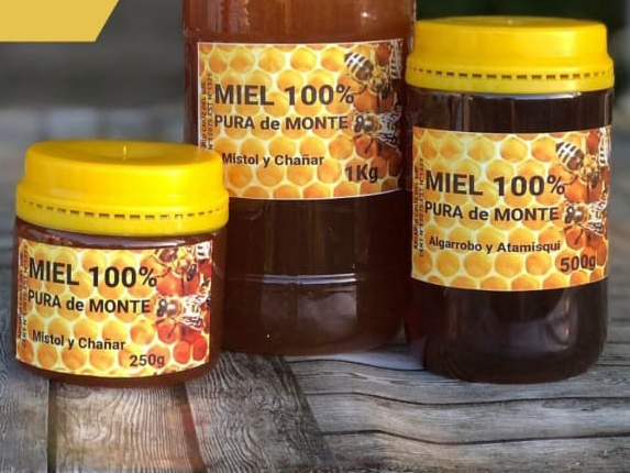 Miel %100 pura de Monte x 500 GR