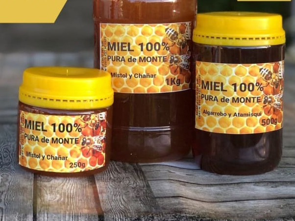 Miel 100% pura de Monte x1KG