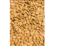 Almendras Non Pareil medianas x1kg