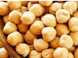 Garbanzo 7MM X 1 KG