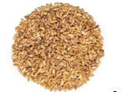 Trigo candela X 1 KG