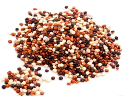 Semilla de quinoa tricolor X 1 KG