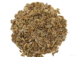 Semilla de eneldo X 1 KG