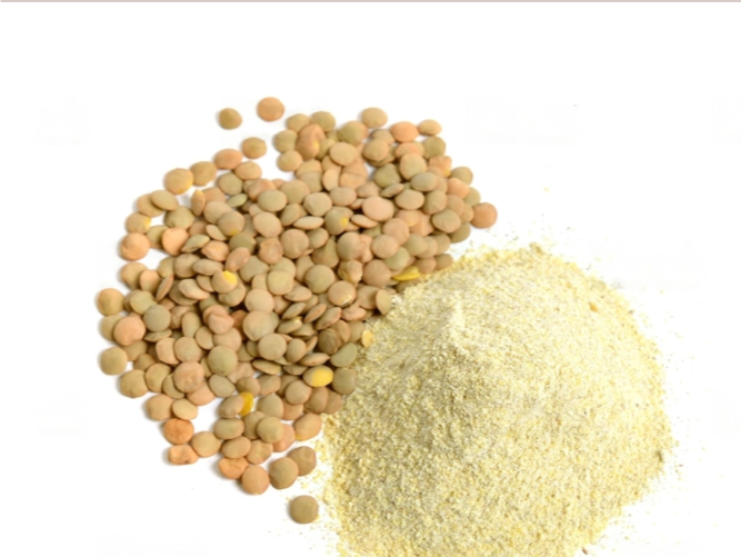 Harina de lentejas X 1 KG