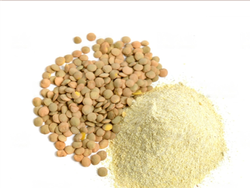 Harina de lentejas X 1 KG