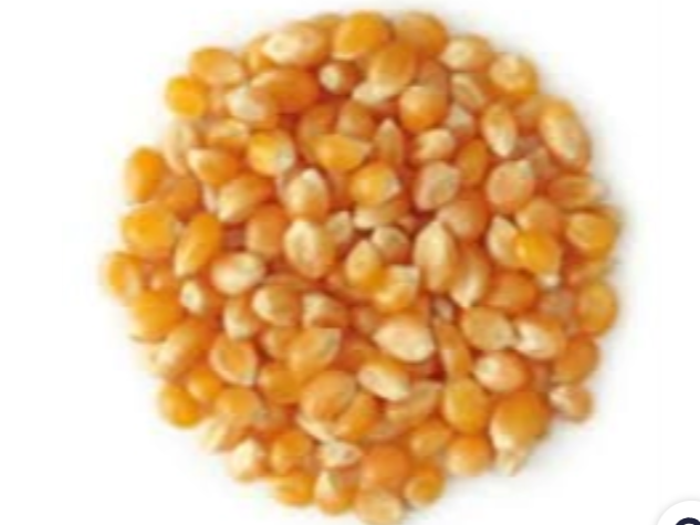 Maíz pisingallo X 1 KG