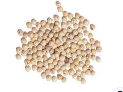 Pimienta Blanca en Grano x 500 GR