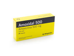 Amoxidal x 8 comprimidos