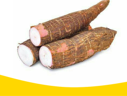 2kg Mandioca de la Zona