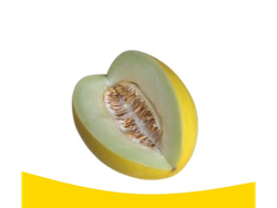 Melon Amarillo
