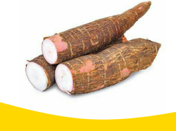 Mandioca Kg