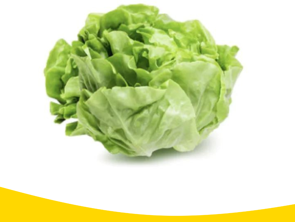 Lechuga Mantecosa x 500gramos