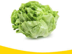 Lechuga Mantecosa x 500gramos