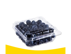 Arandanos Bandejita 125gr