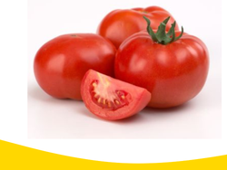 Tomate Redondo x Kg