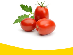 Tomate Perita x Kg