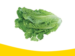 Lechuga Lisa x500gramos