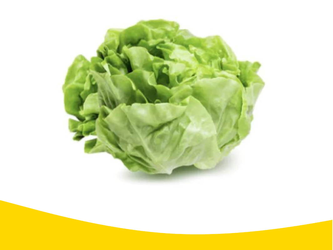 Lechuga Mantecosa x Kg