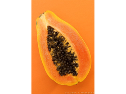 Papaya x unidad
