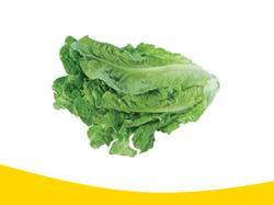 Lechuga Lisa x250gramos