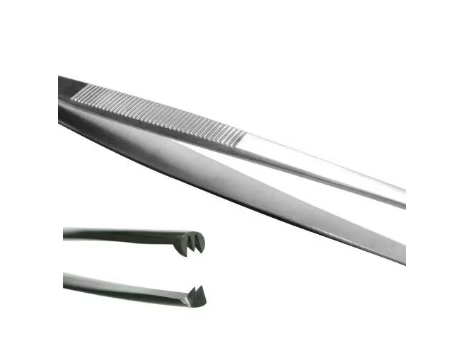 Pinza Disección con diente ratón 15cm